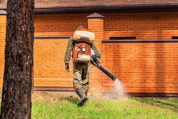 Trusted Termite Control service in New Carlisle, IN - Nex Pest Control
